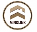 Why MindLink